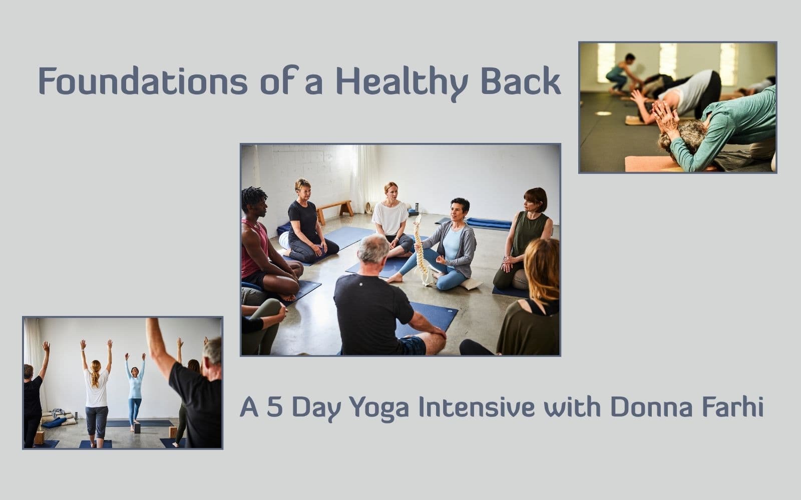 Foundations of a Healthy Back: A Yoga Intensive with Donna Farhi